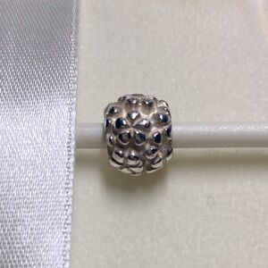 Pandora Flower Power Silver 925 Bead (retired)